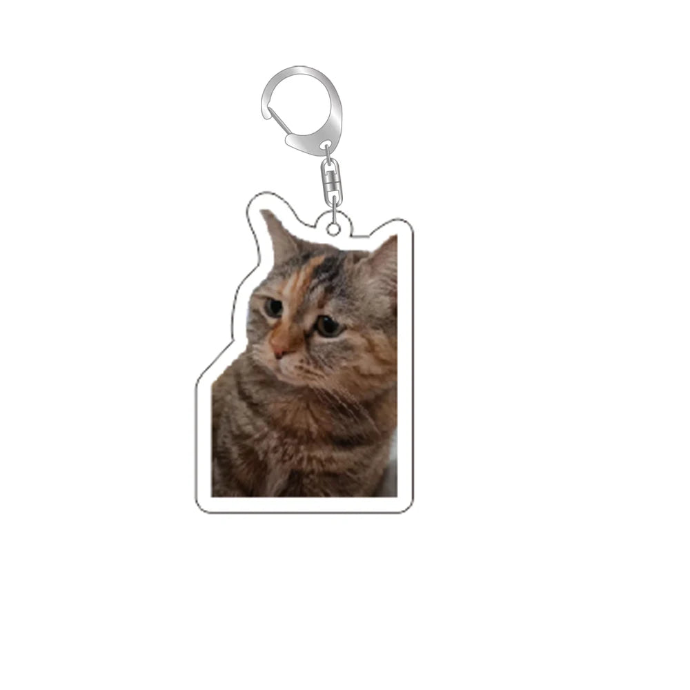 Cat Memes Keychain